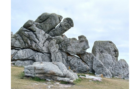 Bienvenue sur le site officiel du club MarchOuReve